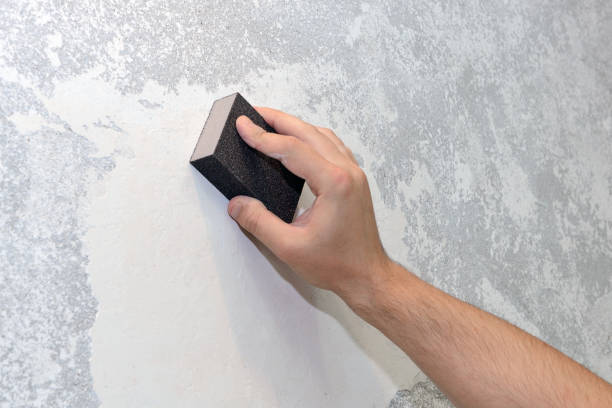 Best Black Mold Removal  in Warren, PA