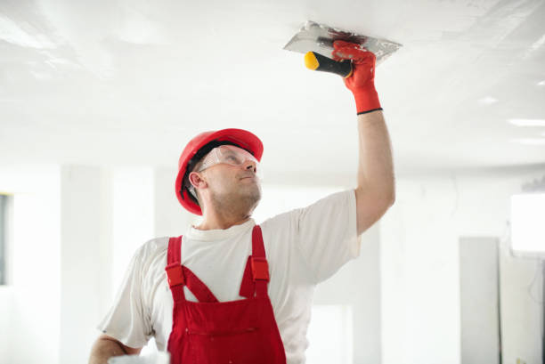 Best Biohazard Mold Removal  in Warren, PA